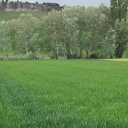 Rural San Pelayo (Valladolid)