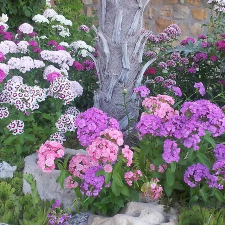 Rural 4* San Pelayo (Valladolid)